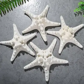 Natural Crafts White Bread Seashell Starfish Начало Декоративни мидички Декор Craft Seastar Seafish Star Crafts Сватба X0J2